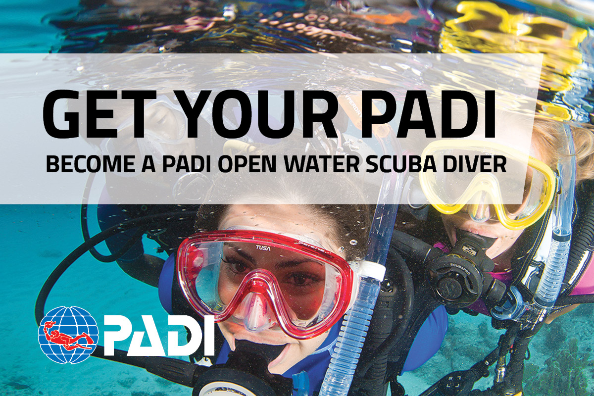 Padi open. Пади опен Ватер дайвер. Open Water Diver сертификат. Padi open Water Diver вопросы. Padi open Water Diver course стоимость обучения.