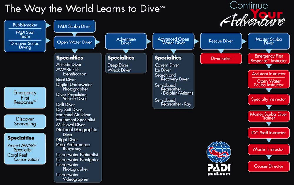 PADI courses flow chart