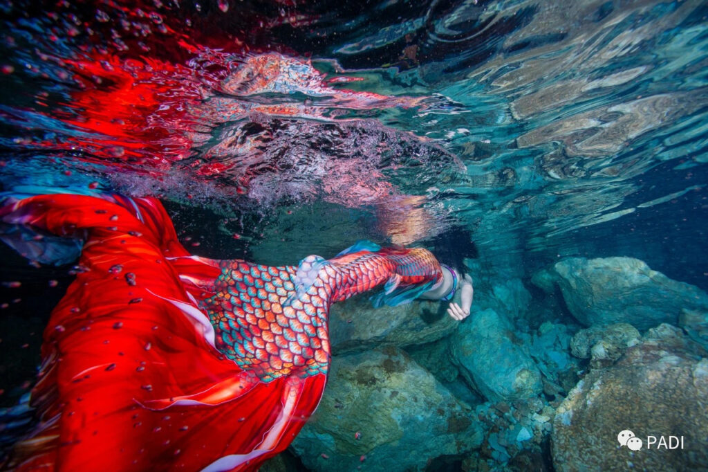 Mermaid Programme Melbourne PADI Youth Mermaid Series Course - Ocean Divers